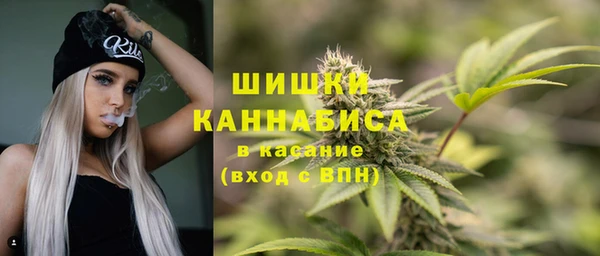прущий лед Богородск