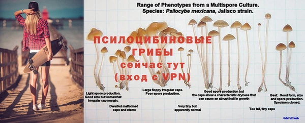 МДМА Богородицк