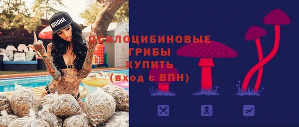 МДМА Богородицк