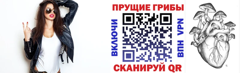 Псилоцибиновые грибы мицелий  Купить где  Гвардейск 
